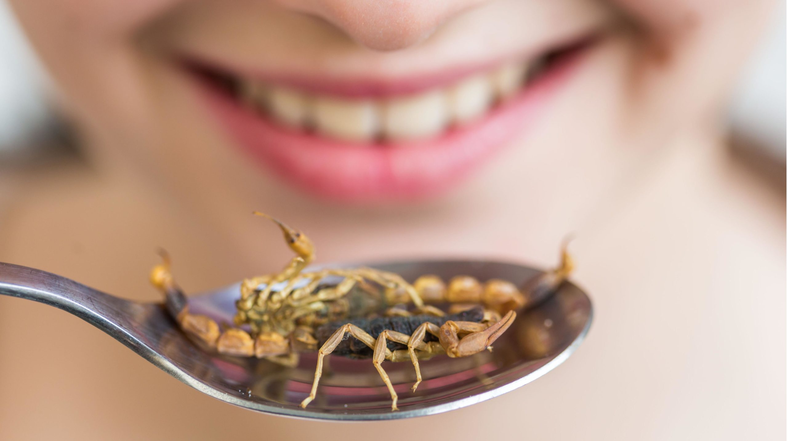 Mangera-t-on bientôt des insectes  chez nous?