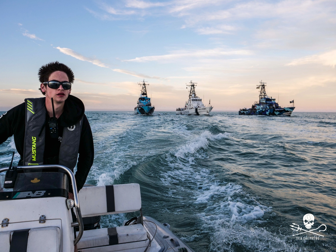 François, 18 ans,   chez Sea Shepherd
