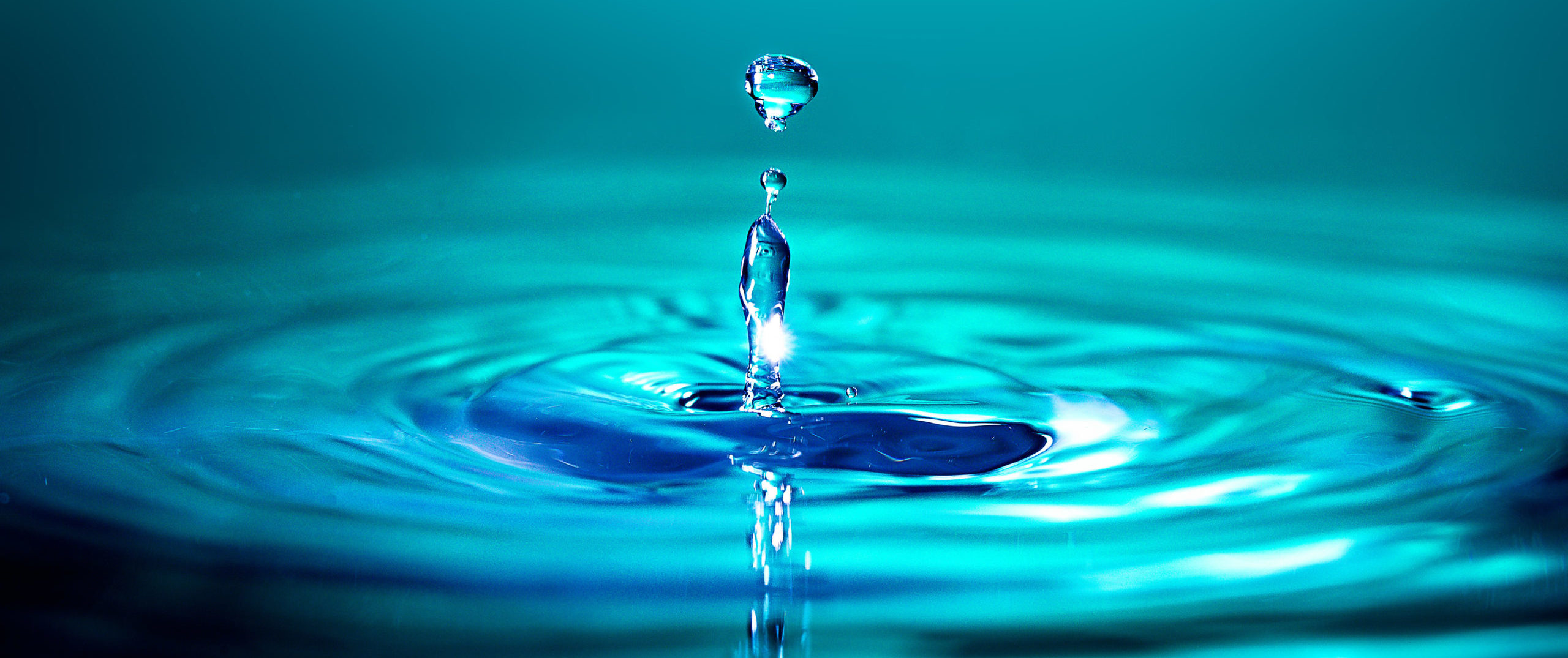 Ce 22 mars, c'est la Journée mondiale de l'eau (vidéo)