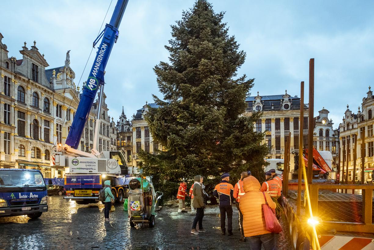 Le sapin de Noël trônera sur la Grand-Place de Bruxelles pendant 4 à 5 semaines.