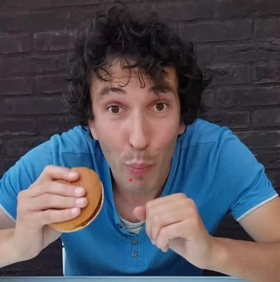 TikTok : un hamburger à 6 millions de vues!