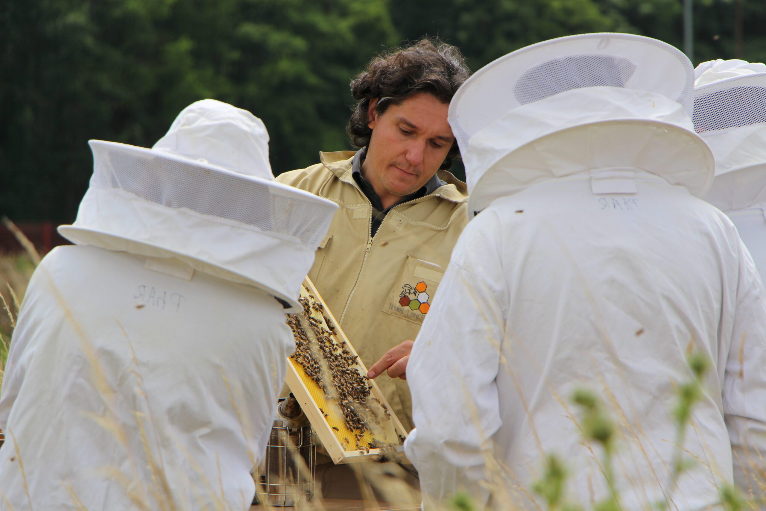 Apiculteur, Aurélien nous parle de sa passion pour les abeilles, de ses 50 colonies et du miel