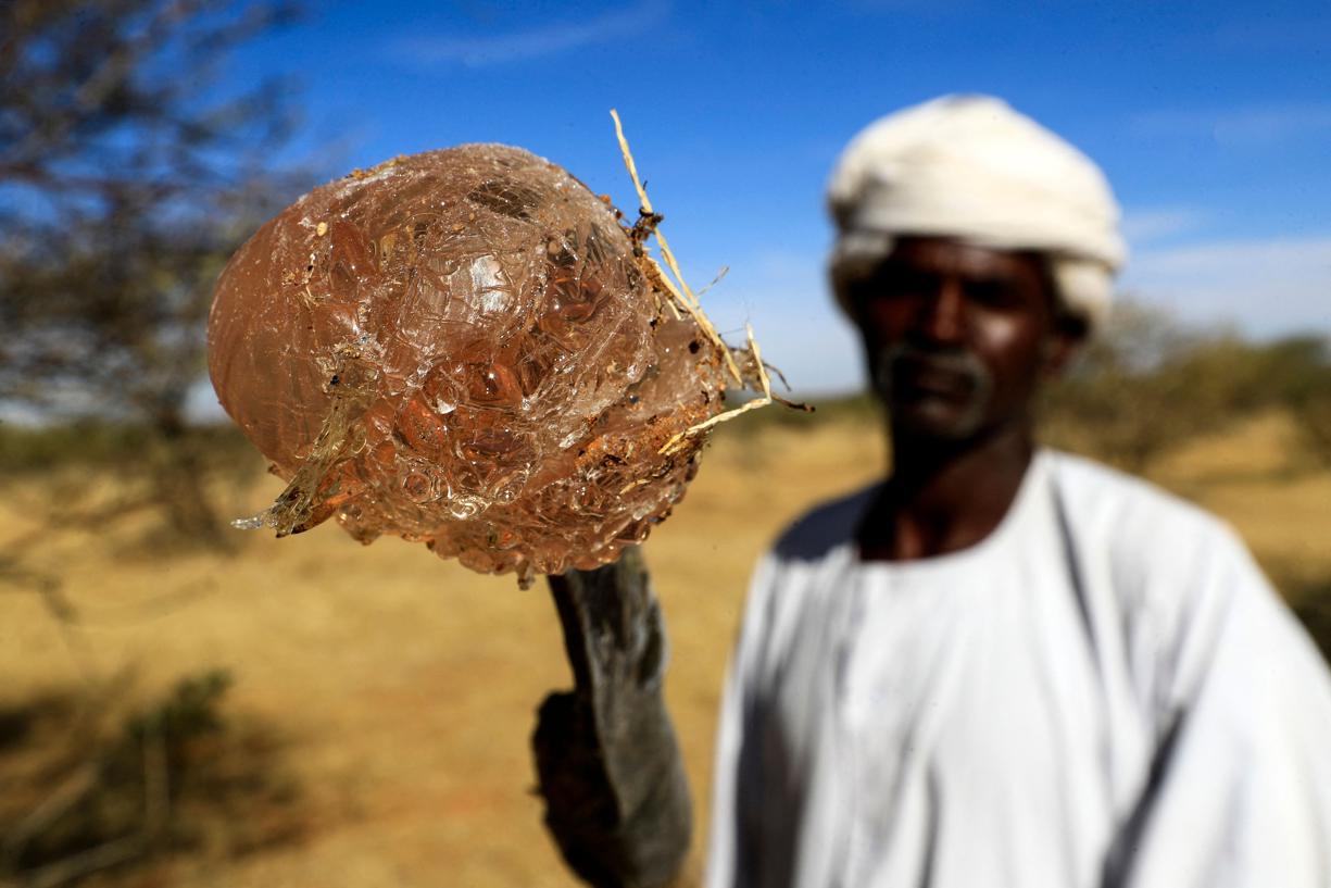 Soudan: quels liens entre guerre et chewing-gum ?