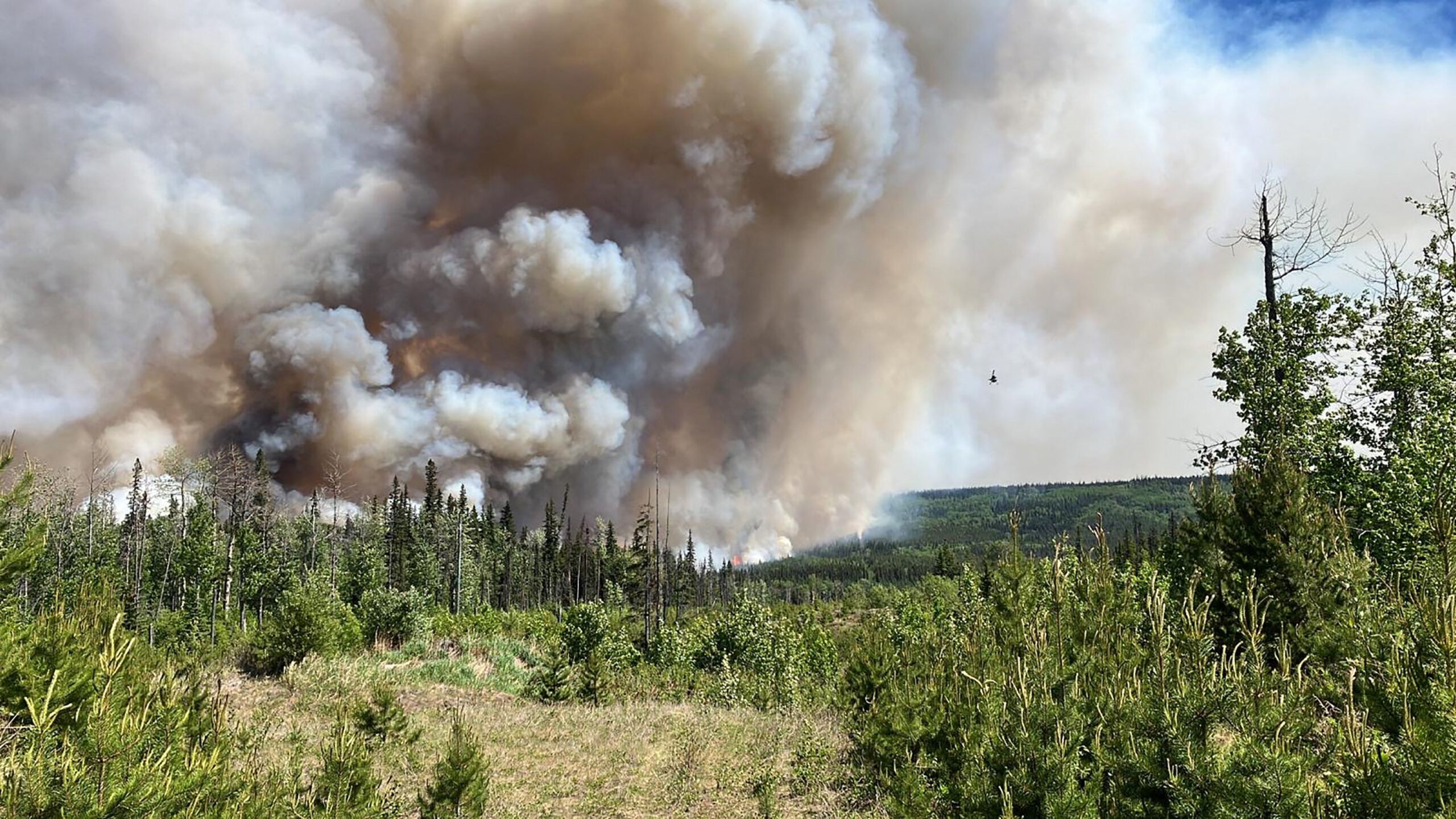 Le Canada gravement touché par des feux de forêt incontrôlables