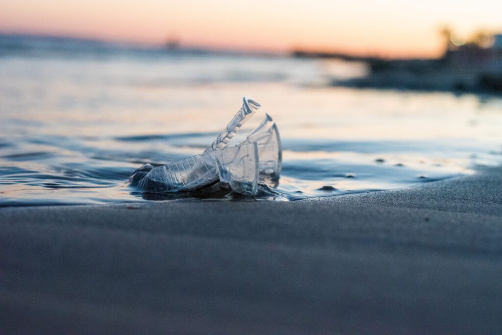 La Wallonie dit adieu aux gobelets en plastique à usage unique