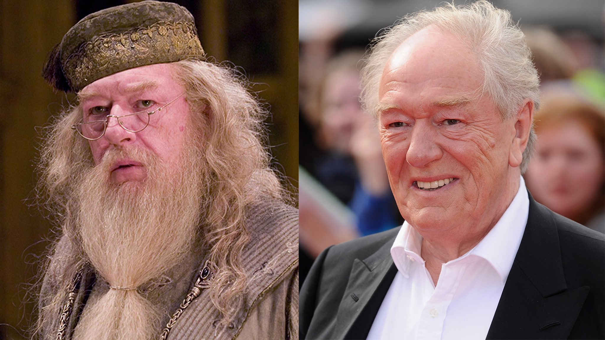 Michael Gambon, interprète d'Albus Dumbledore, est décédé à l'âge de 82 ans.